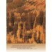 Bryce Canyon - The Story Behind the Scenery