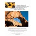 Capitol Reef - The Story Behind the Scenery