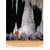 Carlsbad Caverns Book/DVD Combo