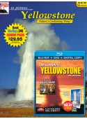 Yellowstone IP Book/ Blu-ray Combo 