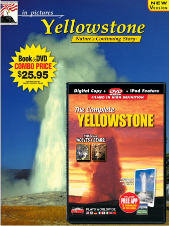 Yellowstone IP Book/DVD Combo