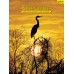 Everglades Book/DVD Combo