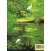 Everglades Book/DVD Combo
