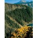 Crater Lake - In Pictures - Nature's Continuing Story