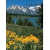 Grand Teton Book/DVD Combo