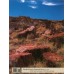 Petrified Forest & Grand Canyon Book/DVD Combo