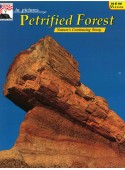 Petrified Forest - In Pictures - Nature's Continuing Story