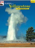 Yellowstone - In Pictures - GERMAN Translation Insert