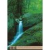 Shenandoah Book/America's National Parks Blu-ray Combo